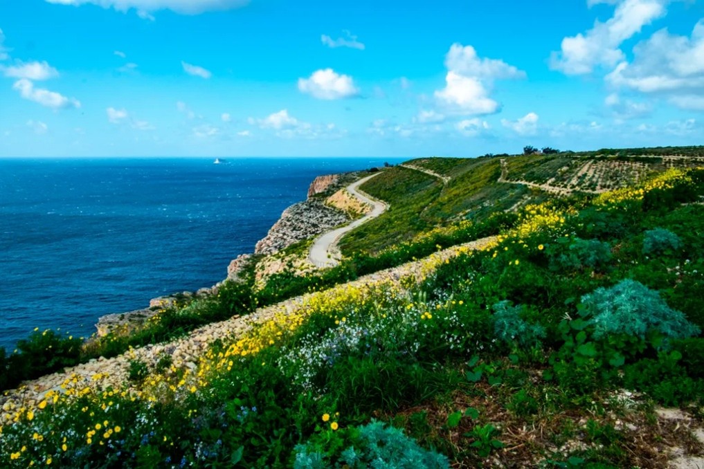 Educational Walk through Wied Fulija